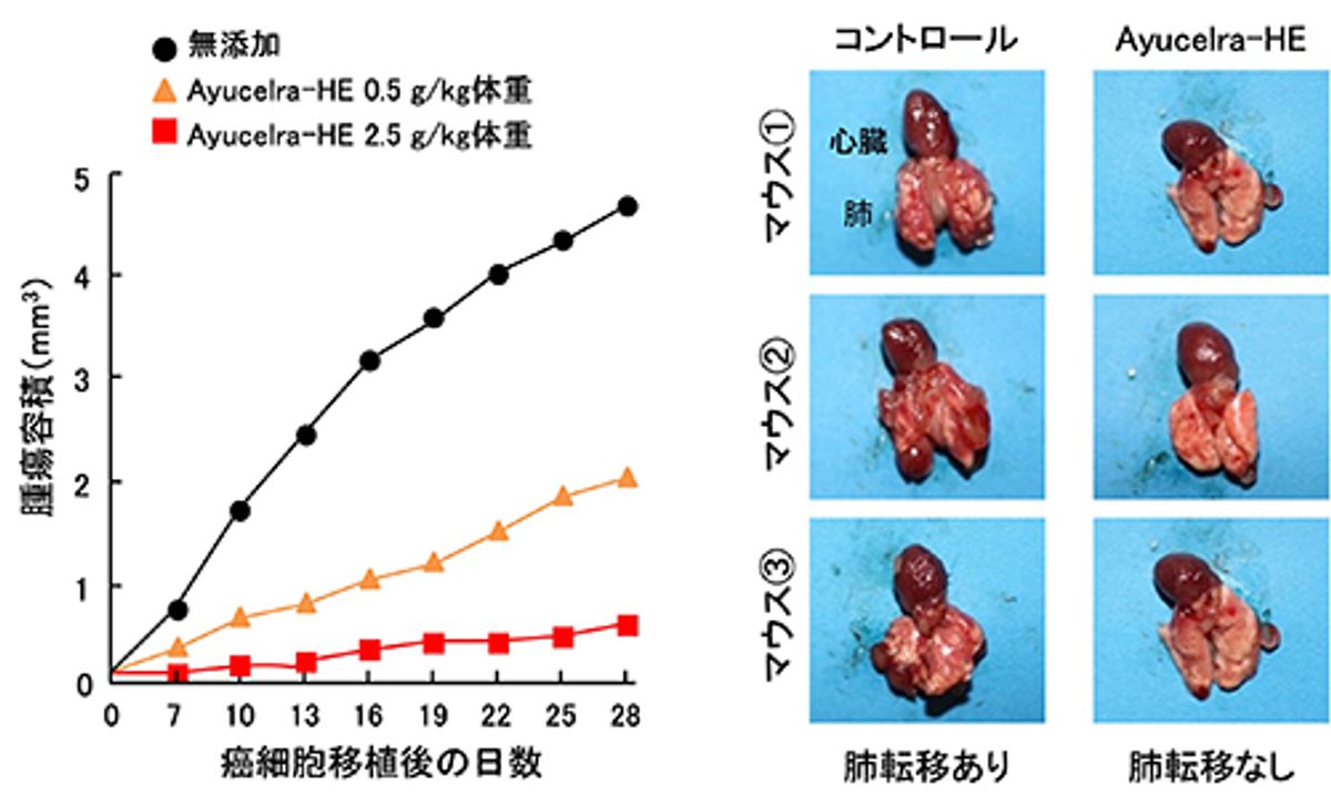 研究データ図版