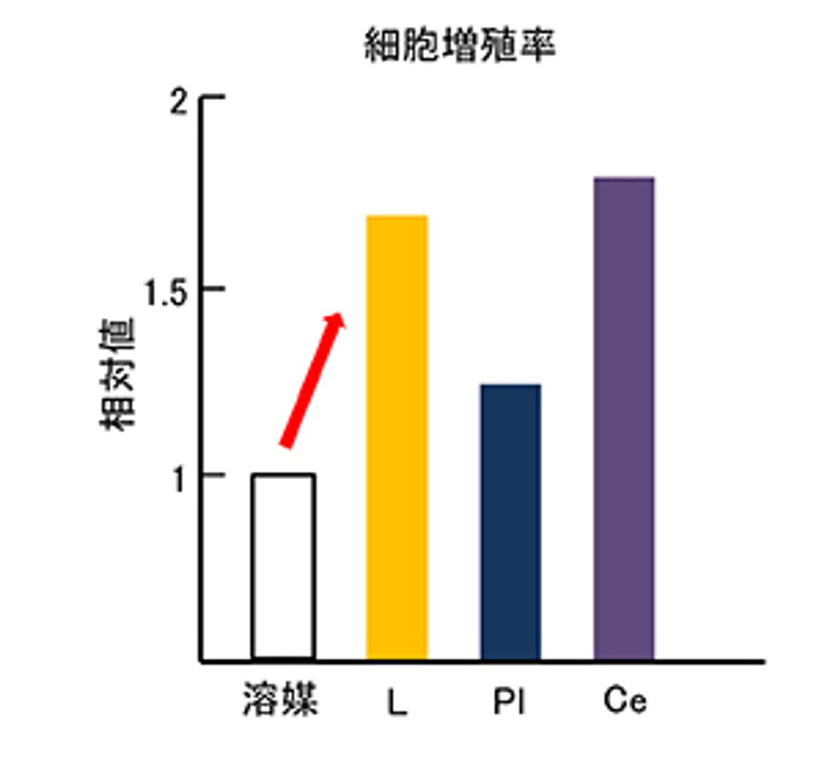 真皮線維芽細胞の活性化