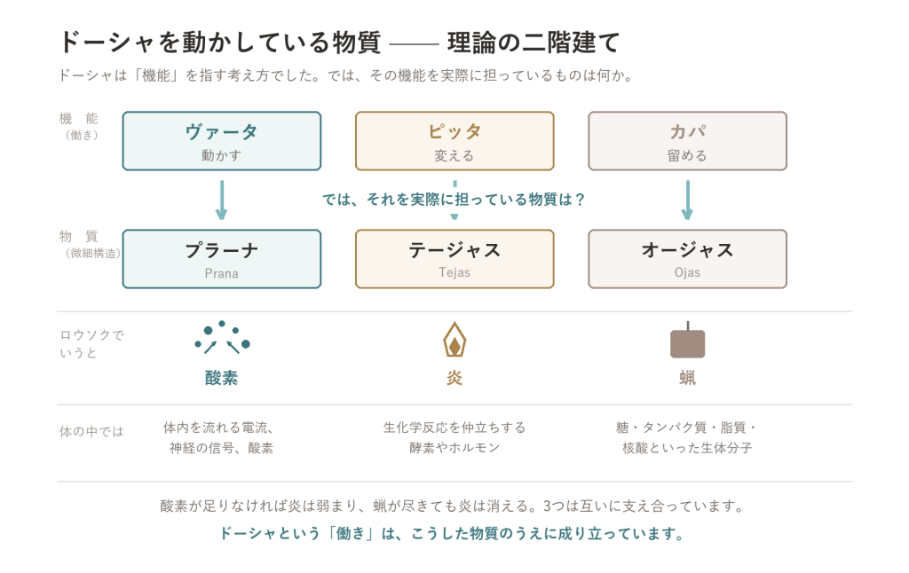 ドーシャを動かしているもの—プラーナ・テージャス・オージャス