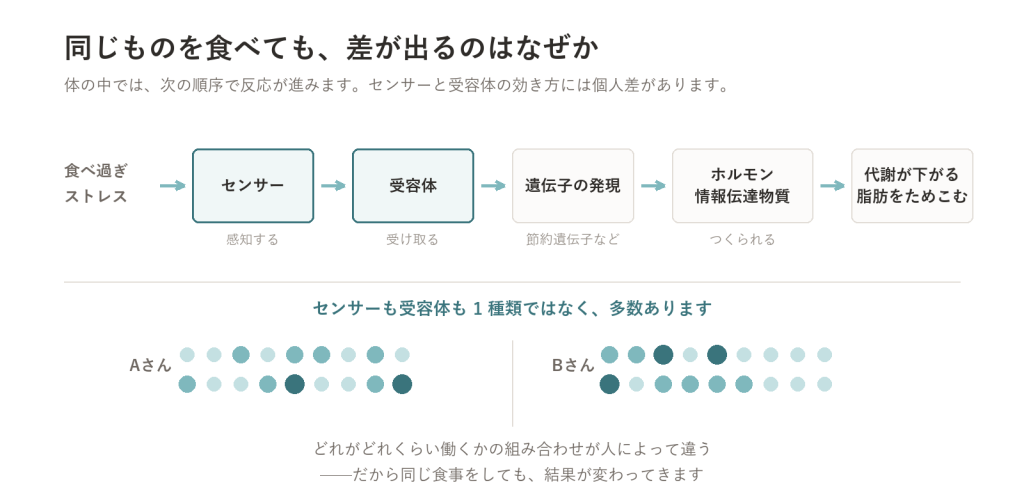 同じものを食べても差が出るのはなぜか