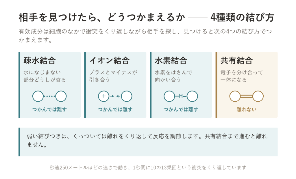 細胞のなかで起きていること