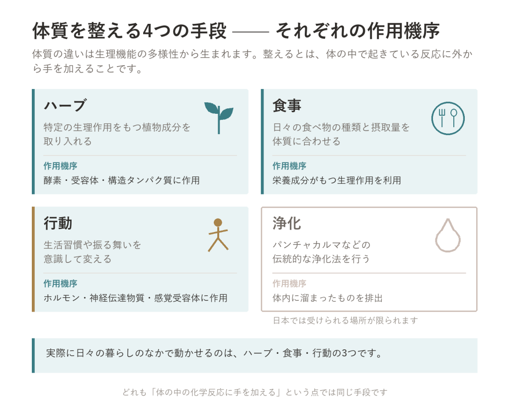 体質を整える手段は、4つしかない