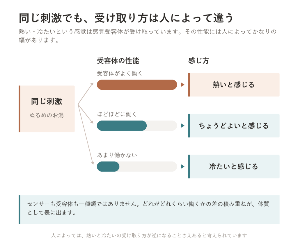 「熱い・冷たい」の感じ方は、人によって違う